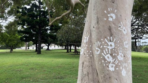Figure-4-Walking-on-Dhurag-Country-Parramatta-Park-Sydney-Australia-S.-Butler-2023-2048x1536 thumbnail