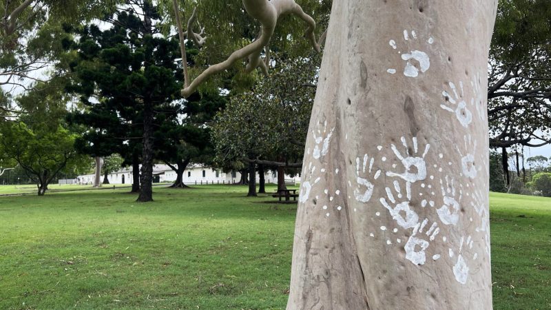 Figure-4-Walking-on-Dhurag-Country-Parramatta-Park-Sydney-Australia-S.-Butler-2023-2048x1536 thumbnail