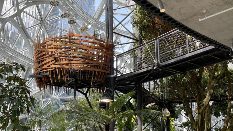 Image-2-1536x2048 thumbnail