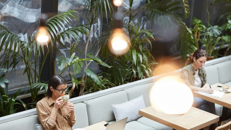 getty-images-cU8lRPLnoZ4-unsplash